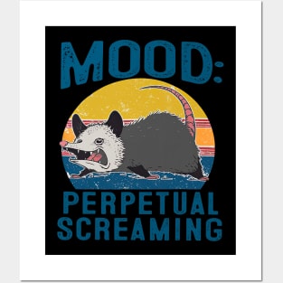 Funny Opossum Mood Perpetual Screaming Possum Panic Posters and Art